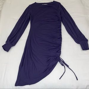 Cinched hem long sleeve fitted dress